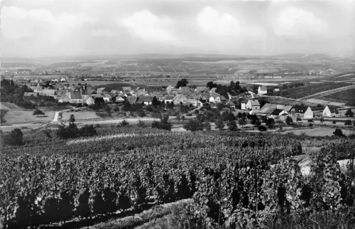 Horrweiler Panorama ngl 195.453