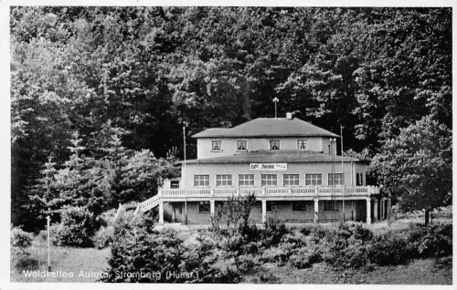 Stromberg (Hunsrück) Waldcafe "Aurora" ngl 195.559