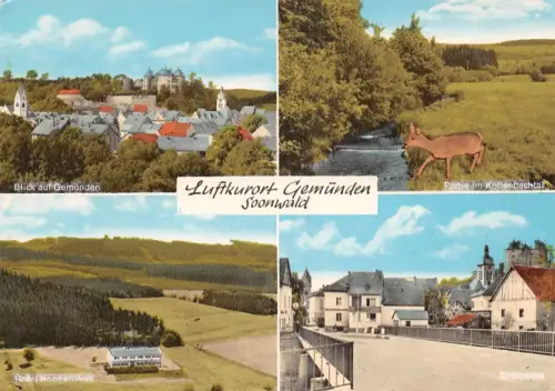 Gemünden/Hunsrück Mehrbildkarte ngl 195.581