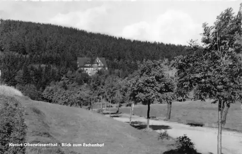 Oberwiesenthal Blick zum Eschenhof gl 195.734