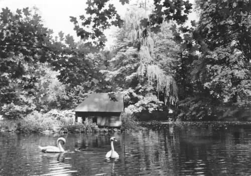 Schlettau Schloßteich gl1967 195.813