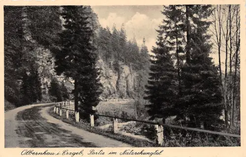 Olbernhau (Erzgebirge) Partie im Natzschungtal gl1943 195.828