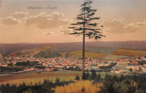 Olbernhau (Erzgebirge) Panorama ngl 195.834