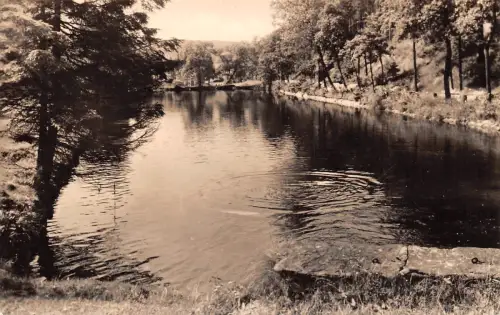 Deutschneudorf (Erzgeb.) Teich gl 195.852