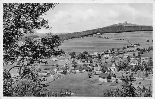 Seiffen (Erzgebirge) Panorama gl 195.865