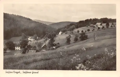 Seiffen (Erzgebirge) Seiffener Grund ngl 195.873