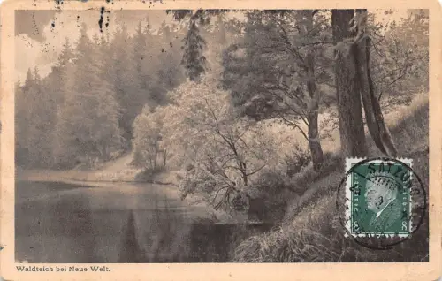 Satzung (Erzgeb.) Waldteich bei Neue Welt gl 195.936