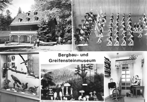 Ehrenfriedersdorf Greifensteinmuseum Mehrbildkarte ngl 196.004