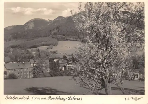 Görbersdorf von der Storchberg-Lehne ngl1902 196.031