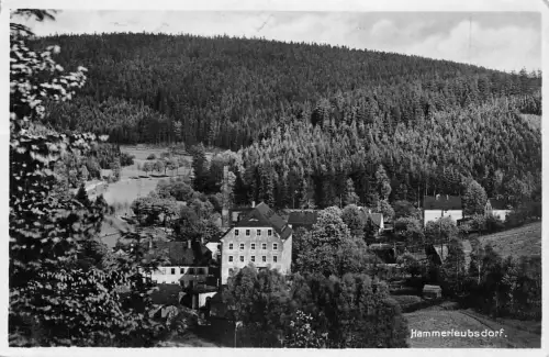 Hammerleubsdorf Panorama bahnpgl 196.106