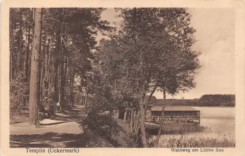Templin Waldweg am Lübbe See ngl 196.120