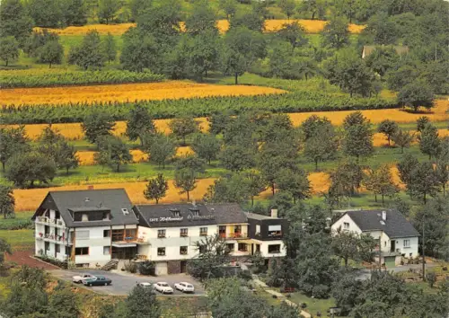 Löf/Mosel Restaurant Krähennest gl1973 196.254