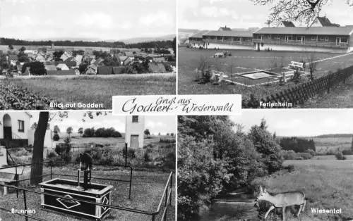 Goddert / Westerwald Mehrbildkarte ngl 196.261