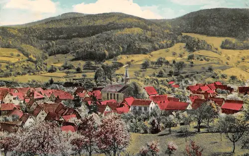 Gronau bei Bensheim a.d.B. Panorama gl1965 196.303