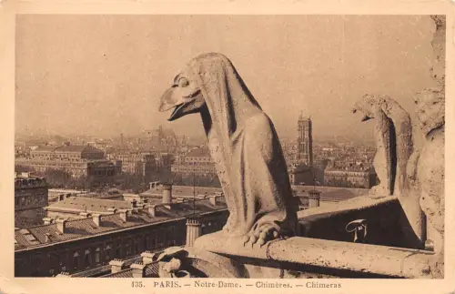 Frankreich Paris Notre-Dame Chimeres ngl 196.405