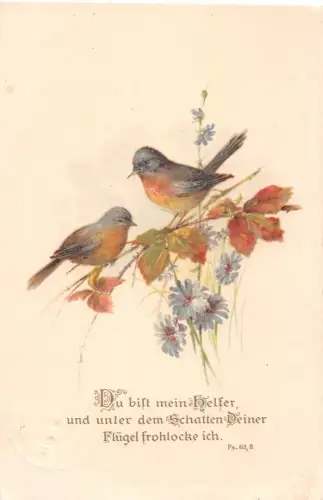 Religion Psalm 63,8 gl1928 196.474