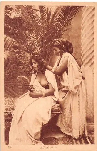 Afrika Au Harem ngl 196.538