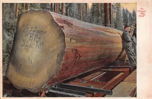 USA An Oregon "Big Stick" ngl 196.733
