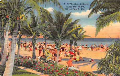 USA Miami Beach, Fla. Sun Bathers under the Palms gl1951 196.815