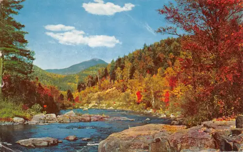 USA Pine Hill, N.Y. gl1960 196.823