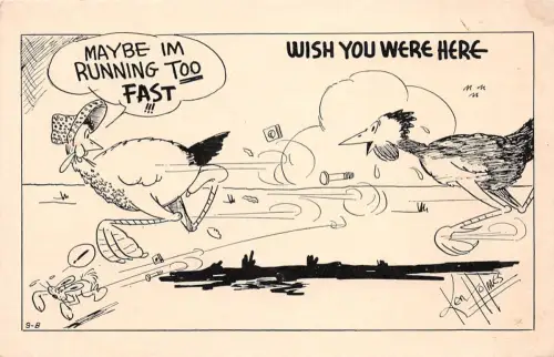 USA Wish you were here ngl 196.852