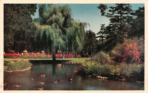 Canada Victoria Beacon Hill Park ngl 196.910