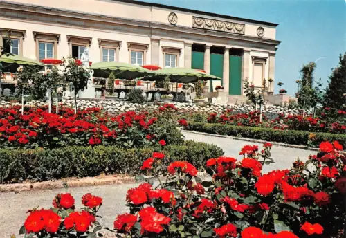 Stuttgart Bundesgartenschau 1977 Rosengarten ngl 196.928
