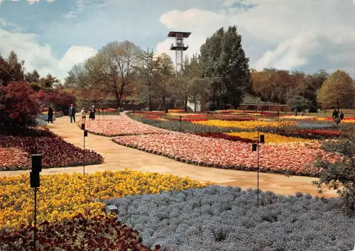 Stuttgart Bundesgartenschau 1961 Blumenteppich ngl 196.927
