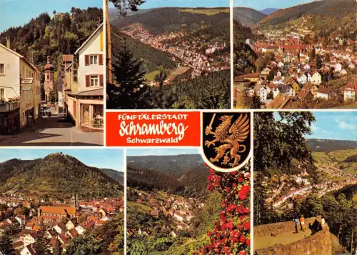 Schramberg Mehrbildkarte gl 196.944