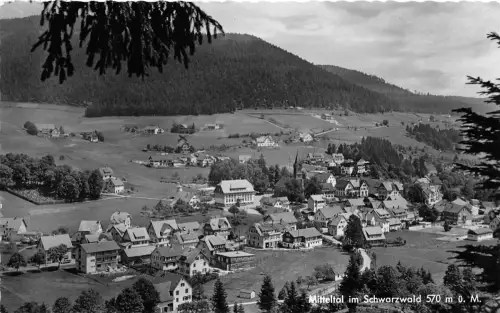 Mitteltal im Murgtal Panorama gl1963 196.964
