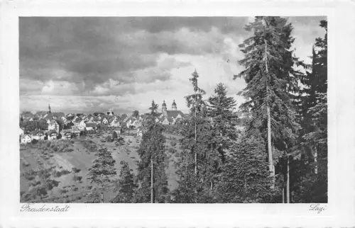 Freudenstadt Panorama ngl 196.963