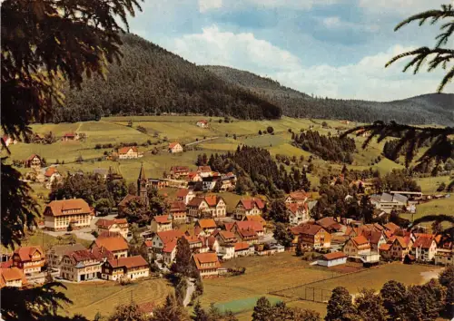 Mitteltal im Murgtal Panorama gl1973 196.966