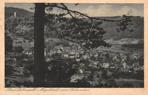 Bad Liebenzell von Südwesten gl1926 196.950