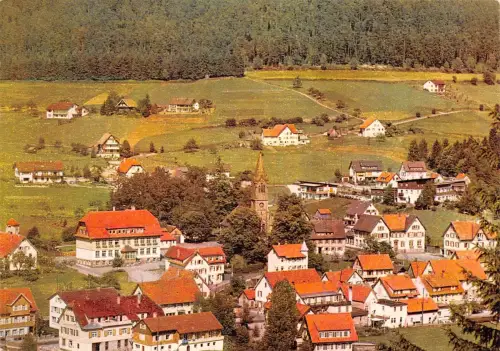 Mitteltal im Murgtal Panorama ngl 196.967