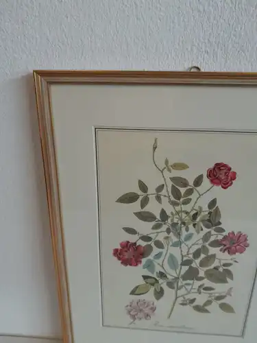 H511-Blumenbild-Druck-Gemälde-Bild-gerahmt-Passepartout-Blumen-