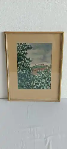 H461-Landschaftsbild-Aquarell-Gemälde-Bild-Schloss-Wolfsberg-hinter Glas-gerahmt