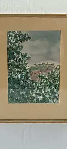H461-Landschaftsbild-Aquarell-Gemälde-Bild-Schloss-Wolfsberg-hinter Glas-gerahmt