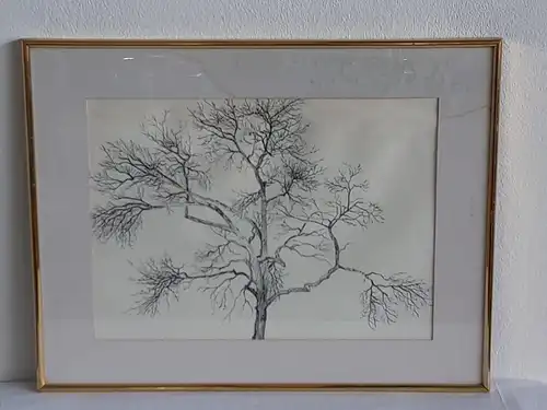 H383-Tusche-Zeichnung-Gemälde-Bild-Der Baum im Volksgarten-gerahmt-