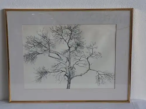 H383-Tusche-Zeichnung-Gemälde-Bild-Der Baum im Volksgarten-gerahmt-