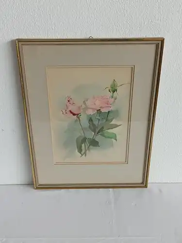H242-Blumenbild-Aquarell-Rosen-Gemälde-Bild-signiert-gerahmt-Passepartout-