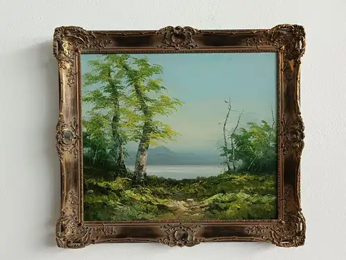 H260-Landschaftsbild-Öl auf Leinwand-Gemälde-Bild-Ölbild-gerahmt-