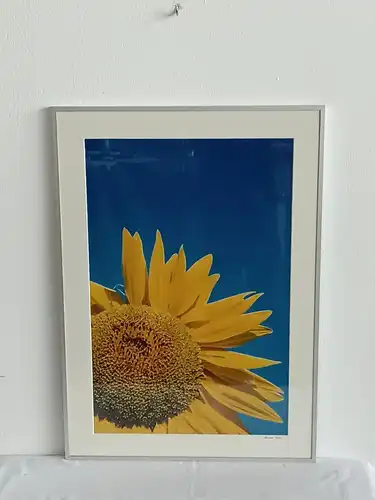 H276-Blumenbild-Druck-Sonnenblume-Gemälde-Bild-Blume-Malerei-gerahmt-signiert-