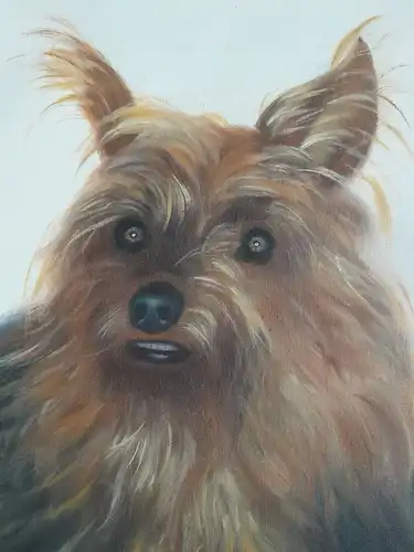 H350-Bild-Öl auf Leinen-Gemälde-Portrait-Hund-Ölbild