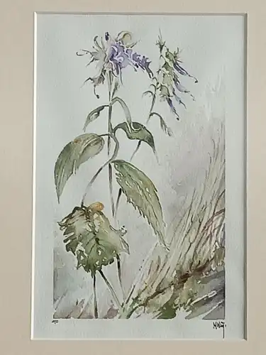H181-Aquarellbild hinter Glas-Blumenbild-Stillleben-Aquarell-Passepartout