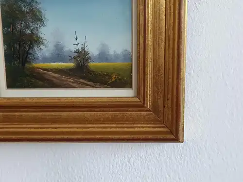 H162-gerahmtes Gemälde-Landschaftsbild-Mischtechnik-Bild-Gemälde-