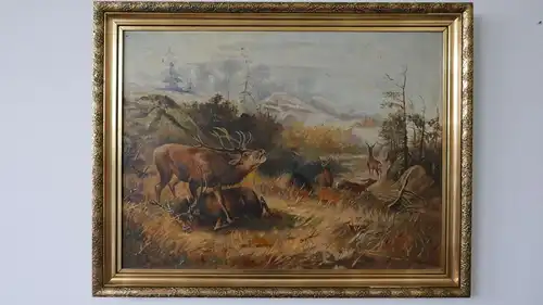 H101-Ölgemälde-Ölbild-Gemälde-Öl auf Leinen-Tierbild-Hirsche-gerahmt