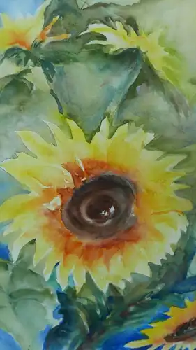 H74-Aquarell-Bild-Gemälde-Sonnenblume-gerahmt