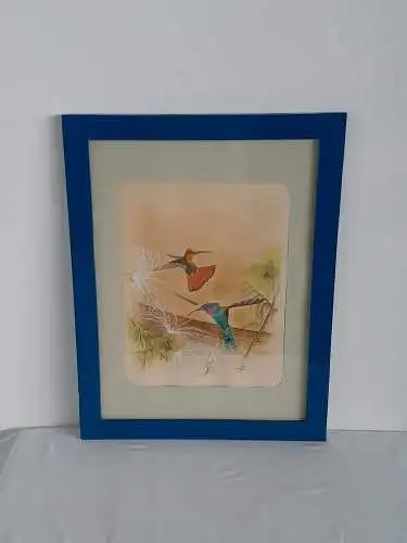 H955-Gemäled-Tusche/Aquarell-Mischtechnik-Bild-Kolibris-Passepartout-gerahmt-