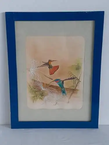 H955-Gemäled-Tusche/Aquarell-Mischtechnik-Bild-Kolibris-Passepartout-gerahmt-