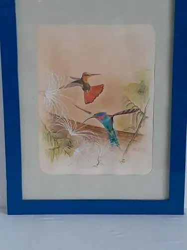 H955-Gemäled-Tusche/Aquarell-Mischtechnik-Bild-Kolibris-Passepartout-gerahmt-